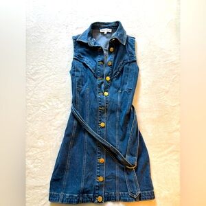 Karina Grimaldi Classic Blue Denim dress